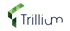 Trillium 1